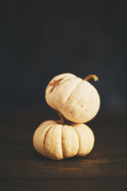 istock Artistic still life fall background with pumpkins balancing 1039369638