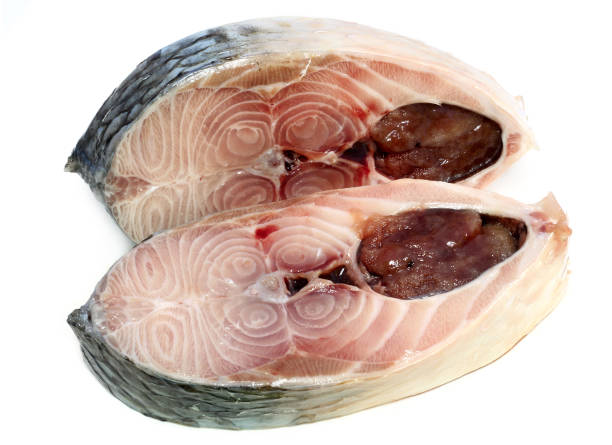 istock Hilsha Fish Slices  of  Southeast Asia 1039376820