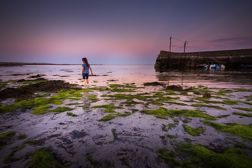 Barna is a coastal village in Connemara, west of Galway city in County Galway, Ireland. The little girl is 8 years old and is exploring the kelp filled beach  A dog is chasing fish in the shallow waters, with the beautiful sunset as a backdrop to the scene.