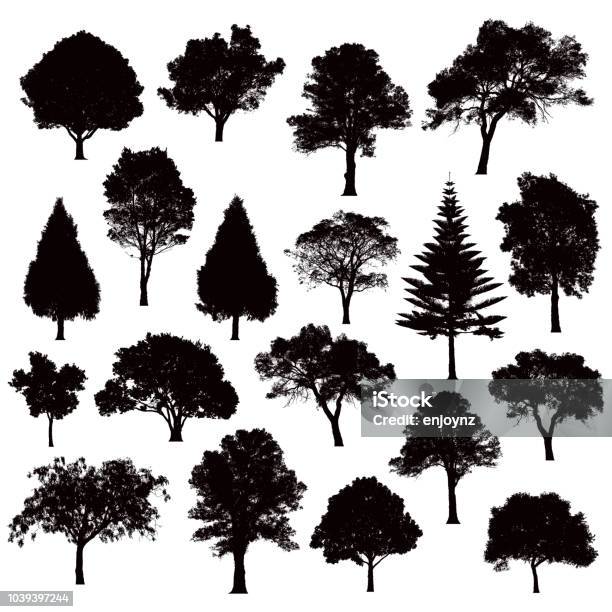 Vetores de Silhuetas De Árvore Detalhada Ilustração e mais imagens de Árvore - Árvore, Silhueta, Vector