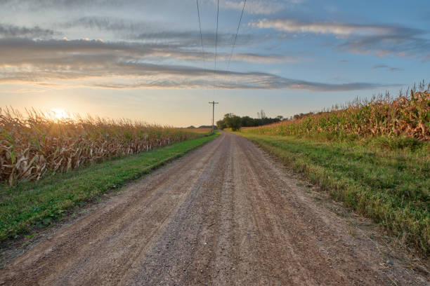 istock Country Road at Sunrise 1039407862