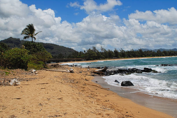 istock Kauai, Hawaiin Island 1039413600