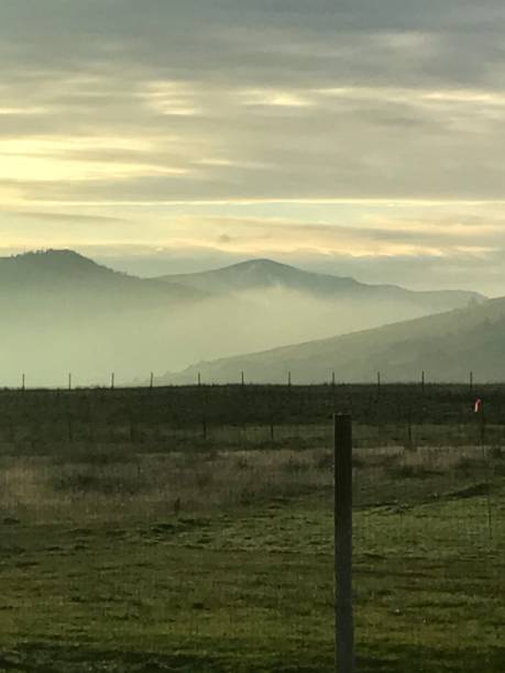 istock Fog in the Mountains at sunrise 1039414190