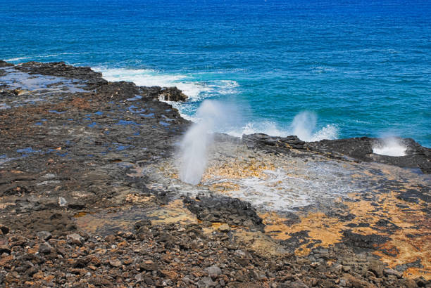 istock Kauai, Hawaiin Island 1039417760