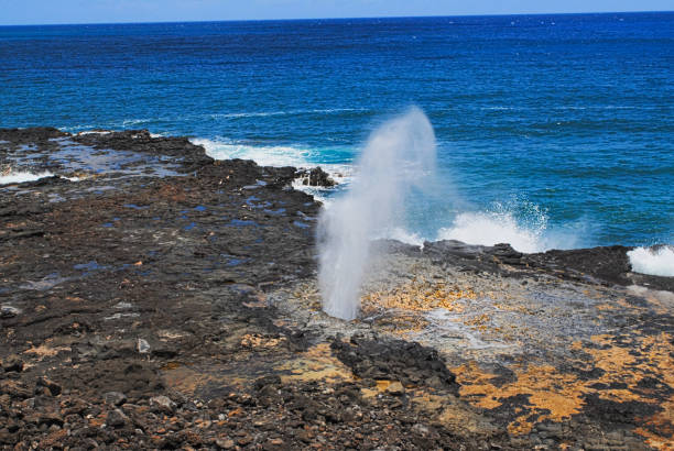 istock Kauai, Hawaiin Island 1039417794