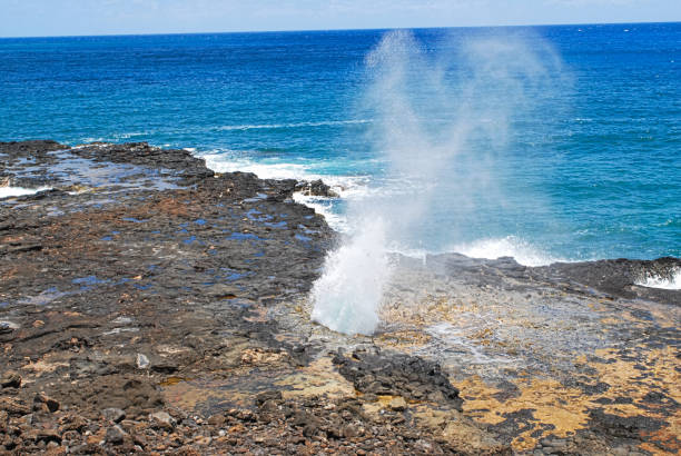 istock Kauai, Hawaiin Island 1039417804