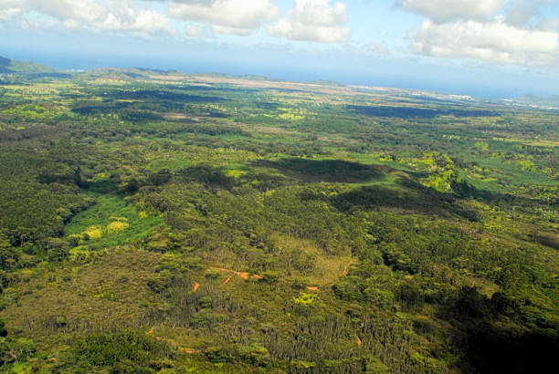 istock Kauai, Hawaiin Island 1039421414