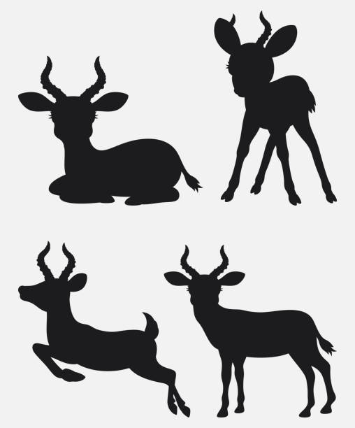 istock Set of Impala silhouettes cartoon with different poses and expressions 1039426610