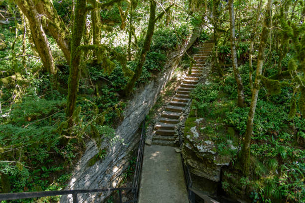 istock Staircase in rocky rainforest valley 1039434246