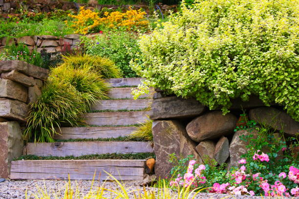 garden path stairs and colorful flowers – flowerbed relaxing landscape - wall flower sunny temperate flower imagens e fotografias de stock