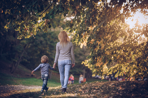 Back view of mother and son walking in nature and holding hands in autumn.