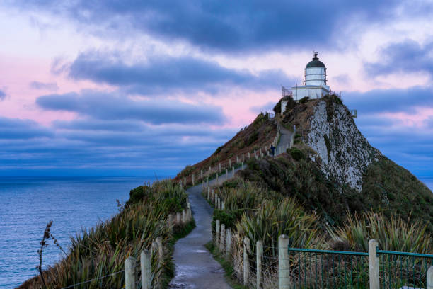 istock Nugget Point Lighthouse In The Evening Sun 1039478582