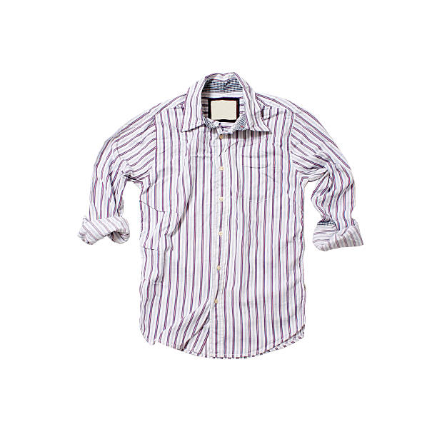 istock Button-Down Shirt With Lavender Pinstripe - White Background 103948830