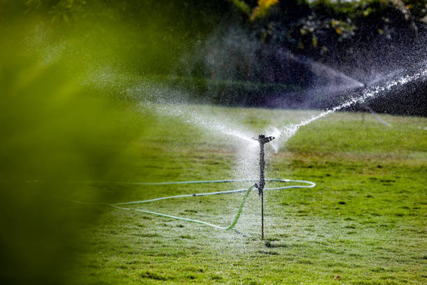 istock sprinkler in farm 1039507030