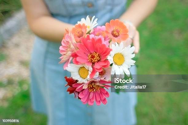デイジーブーケ厳選された新鮮な花を持つ女性 - 1人のストックフォトや画像を多数ご用意 - 1人, お祝い, カラー画像