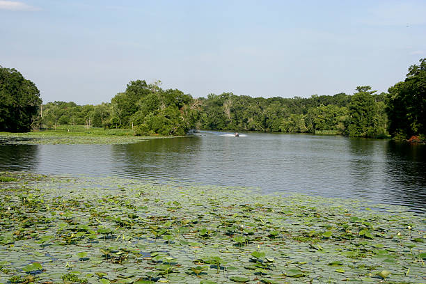 istock River and lake landscape with boat 103951039