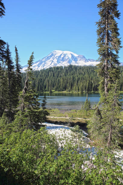 istock Mount Rainier National Park and Lake 1039517910