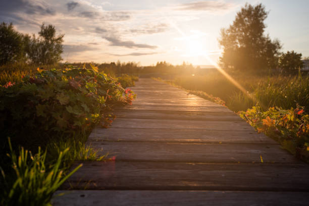 Wooden path in park.