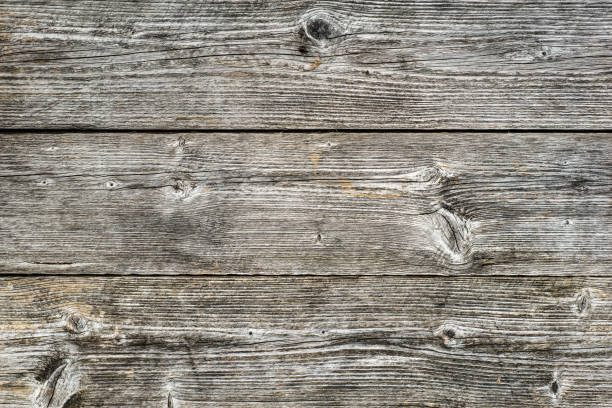 istock Old wooden texture, rough surface of gray planks 1039532800