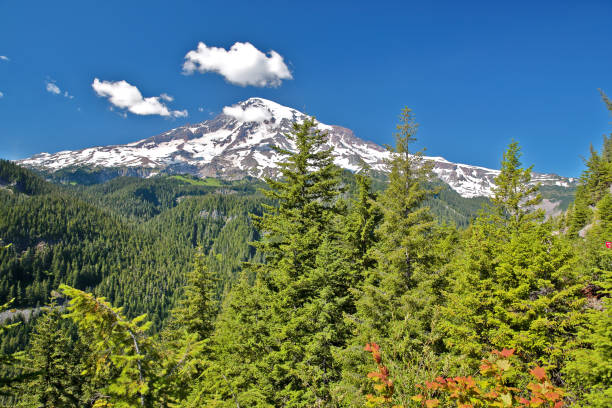 istock View of Mount Rainier 1039534100
