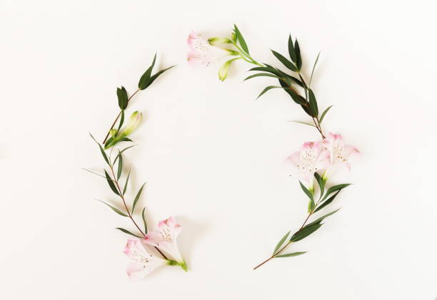 istock Flowers border frame wreath  and eucalyptus branches on white background. holiday greeting card.  Flat lay, top view. Flowers background. Fashion. Frame of flowers. Copy space 1039534356