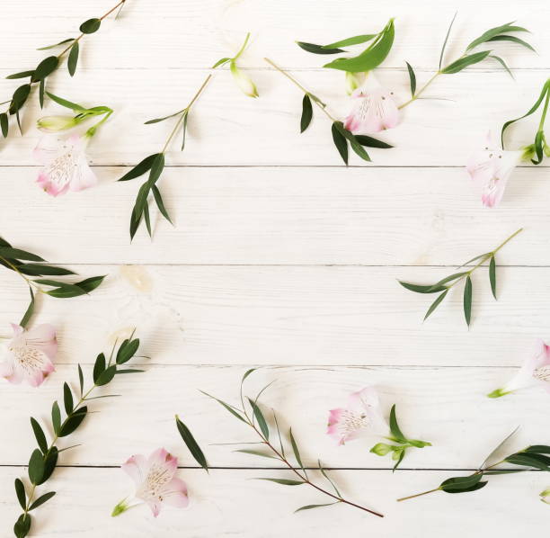 istock Flowers background. Frame from beautiful pink flowers and eucalyptus branches on white wooden background.Top view.Copy space 1039537132