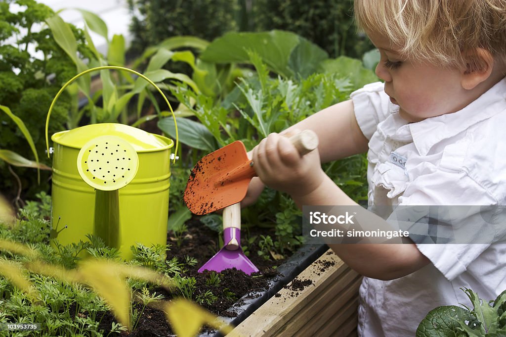toddler gardening a 2 year old toddler gardening with watering can Child Stock Photo