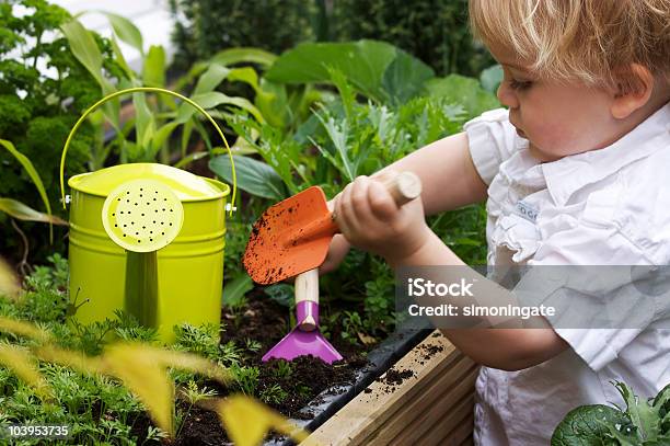 Toddler Gardening Stock Photo - Download Image Now - Child, Gardening, Toddler