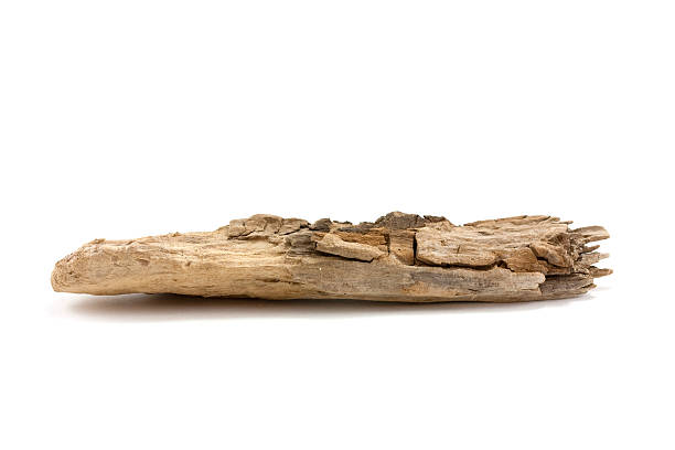 driftwood stock photo