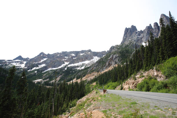 północna autostrada kaskadowa - north cascades national park mountain above cascade range zdjęcia i obrazy z banku zdjęć