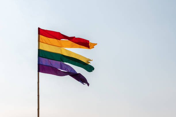 istock Low Angle View Of Rainbow Flag Against Clear Sky 1039552196