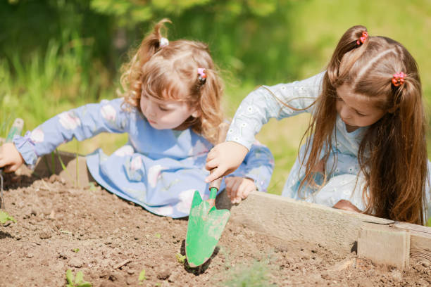istock Two little sisters working in the garden together 1039552706