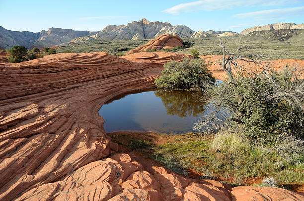 Petrified Dunas de areia de neve Canyon State Park, em Utah - foto de acervo