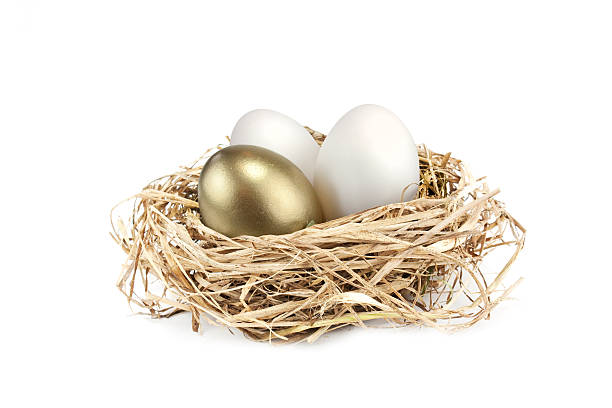 golden gniazdować jajko - animal egg golden animal nest nest egg zdjęcia i obrazy z banku zdjęć