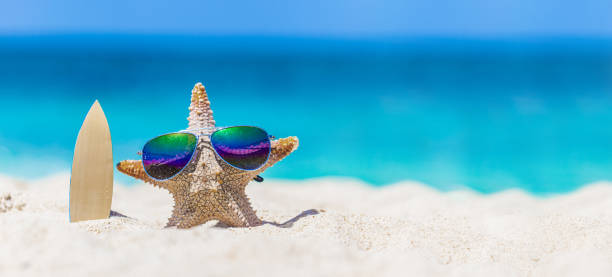 Starfish surfer on tropical beach Starfish surfer on sand of tropical beach at Philippines starfish sunglasses stock pictures, royalty-free photos & images