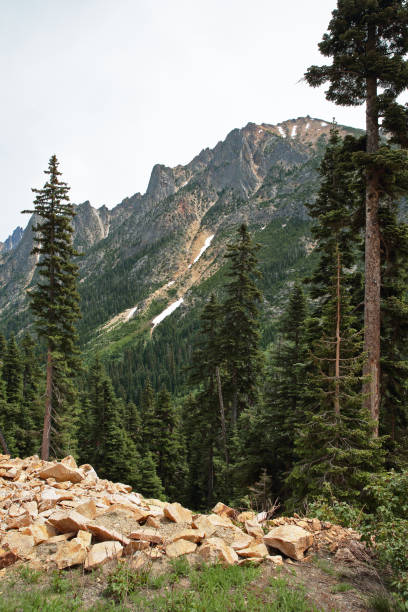 exibição de alta altitude das montanhas cascade do norte - north cascades national park mountain above cascade range - fotografias e filmes do acervo