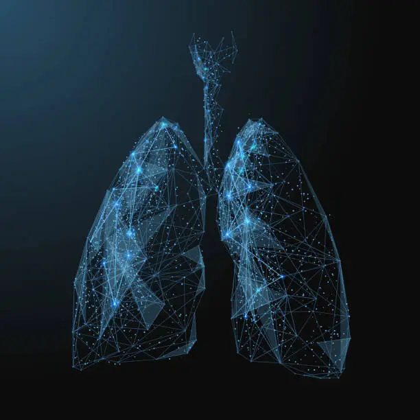 Vector illustration of lungs low poly blue