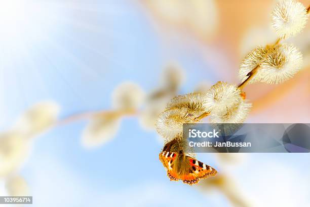 Mariposa Fino En Una Suave Branch Foto de stock y más banco de imágenes de Abeja - Abeja, Belleza, Belleza de la naturaleza