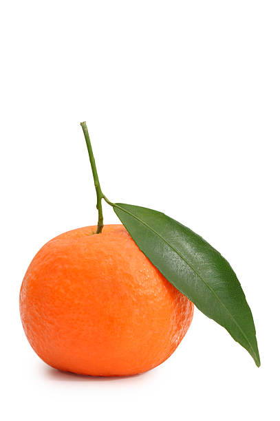 Tangerine with green leaves stock photo