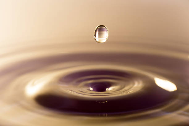 A orange drop in a dish of water