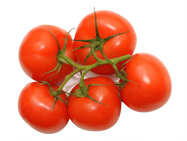 Tomatoes on white stock photo