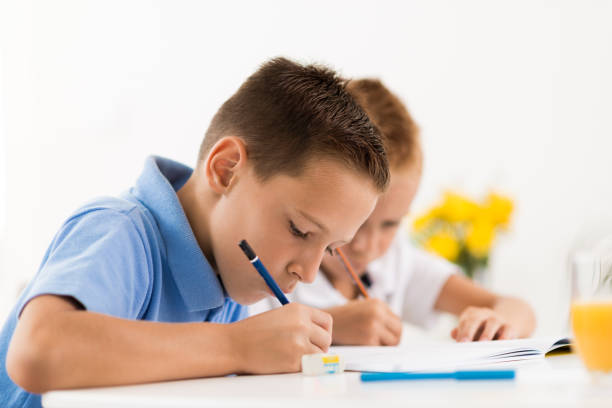 istock Young boys writing in notebooks at home 1039573450