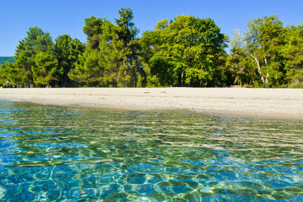 istock Paralia Skotinas Beach. 1039573902
