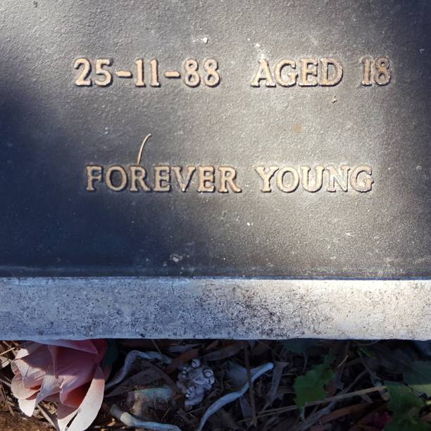 istock Garden cemetery. 1039574216