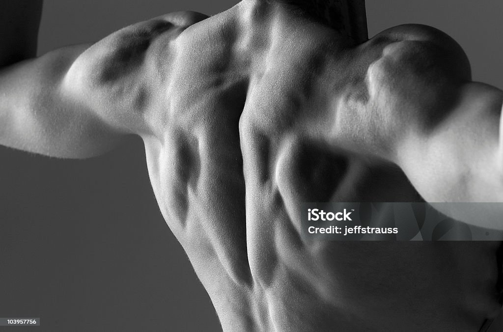 bodybuilder retour - Photo de Image en noir et blanc libre de droits