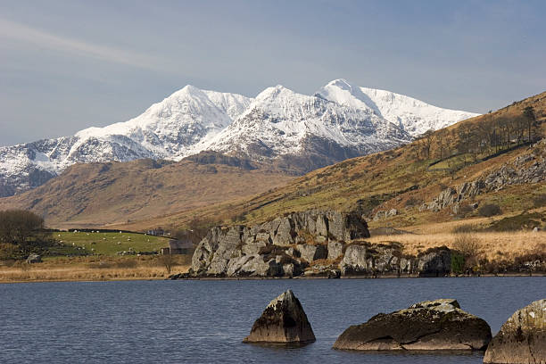 Snowdon at Winter Taken from Llynnau Mymbyr near Capel Curig, Snowdon can be seen covered with the last snow of the new year.  Taken with a Canon EOS 20D. snowdonia national park photos stock pictures, royalty-free photos & images
