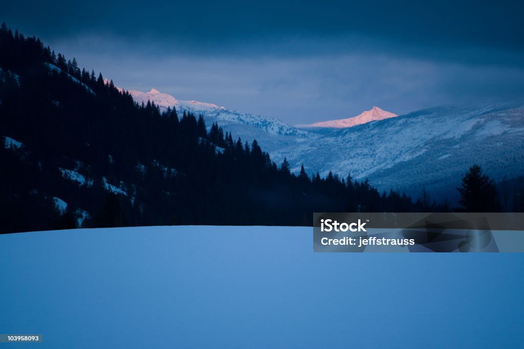 winter sunrise  Animals In The Wild Stock Photo