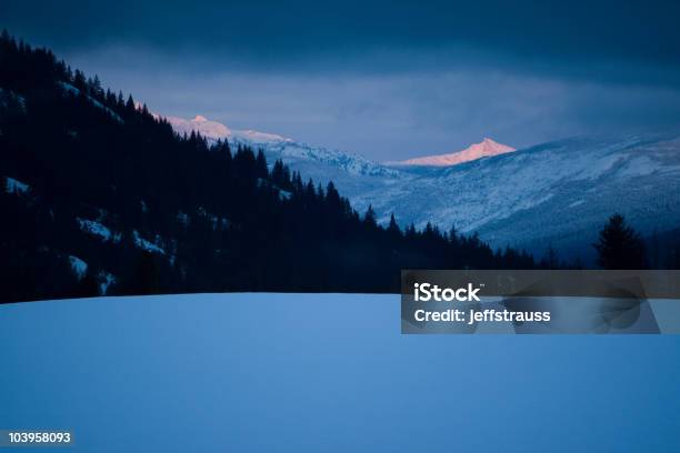 Winter Sunrise Stock Photo - Download Image Now - Animals In The Wild, Beauty, Beauty In Nature