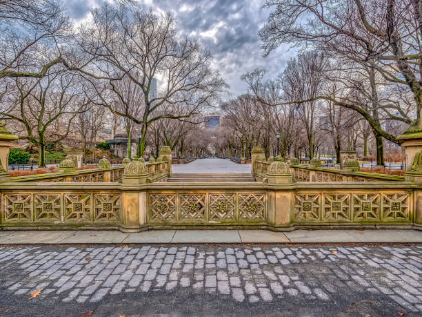 istock Central Park, New York City 1039582032