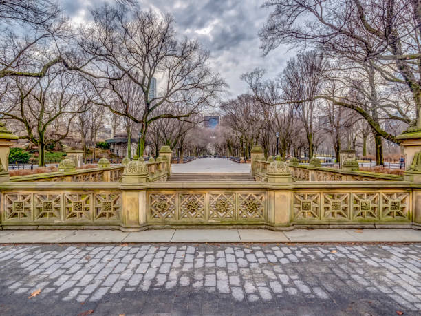 istock Central Park, New York City 1039582062